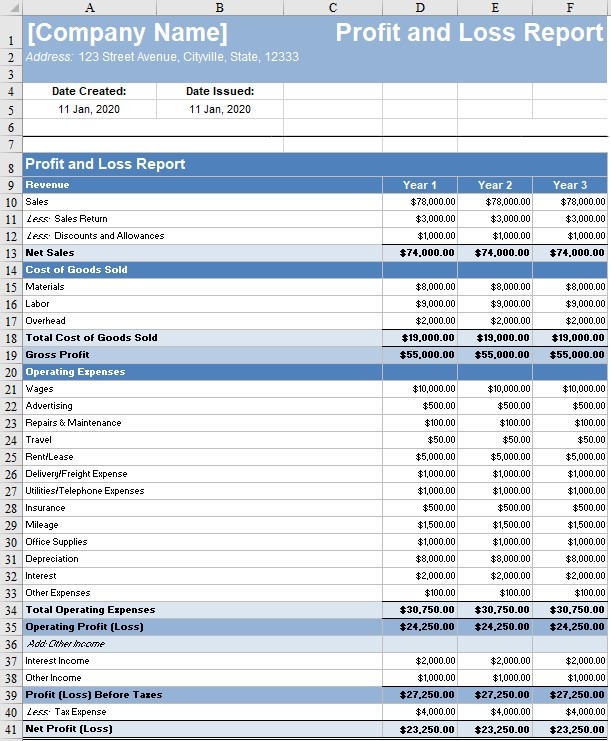 Profit and Loss Report template example