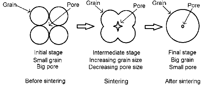 A model explaining the sintering process