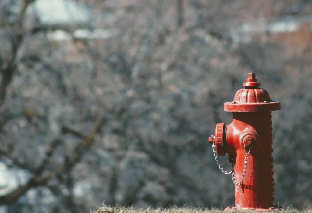 red fire hydrant in woods