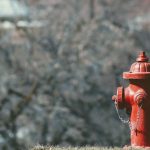 red fire hydrant in woods