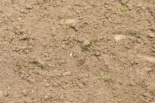 coarse soil