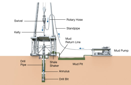 Rotary drilling apparatus
