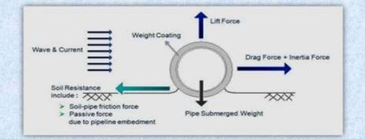 Hydrodynamic loading on an offshore pipe