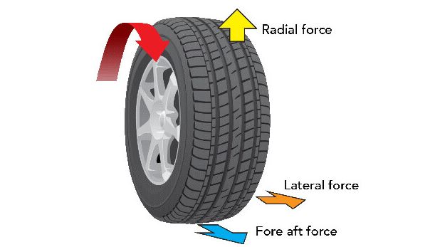 The forces that cause Radial Force Variation on a tire